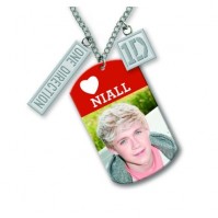 1D One Direction Dog Tags Necklace Chain Niall Early Photo Picture Gift Official