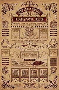 Harry Potter Quidditch At Hogwarts Official Large Maxi Poster Picture Broom 