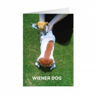 Adult Humour Wiener Dog Greeting Card Birthday Funny Puppy Sausage Blank Fun