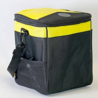 Car Cooler Box Bag AA 12V 13L Picnic Travel Portable Camping Caravan Drinks Van