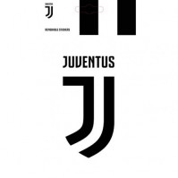 Official Merchandise Juventus F.C. Crest Logo Sticker Apply To Any Surface 