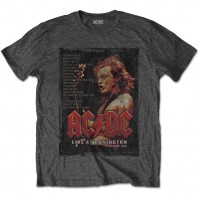 Mens Grey Official AC/DC Donington Set Distressed T-Shirt Rock Vintage Retro