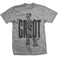 Marvel Comics Official Avengers Infinity Teen Groot Line Mens Grey T-Shirt
